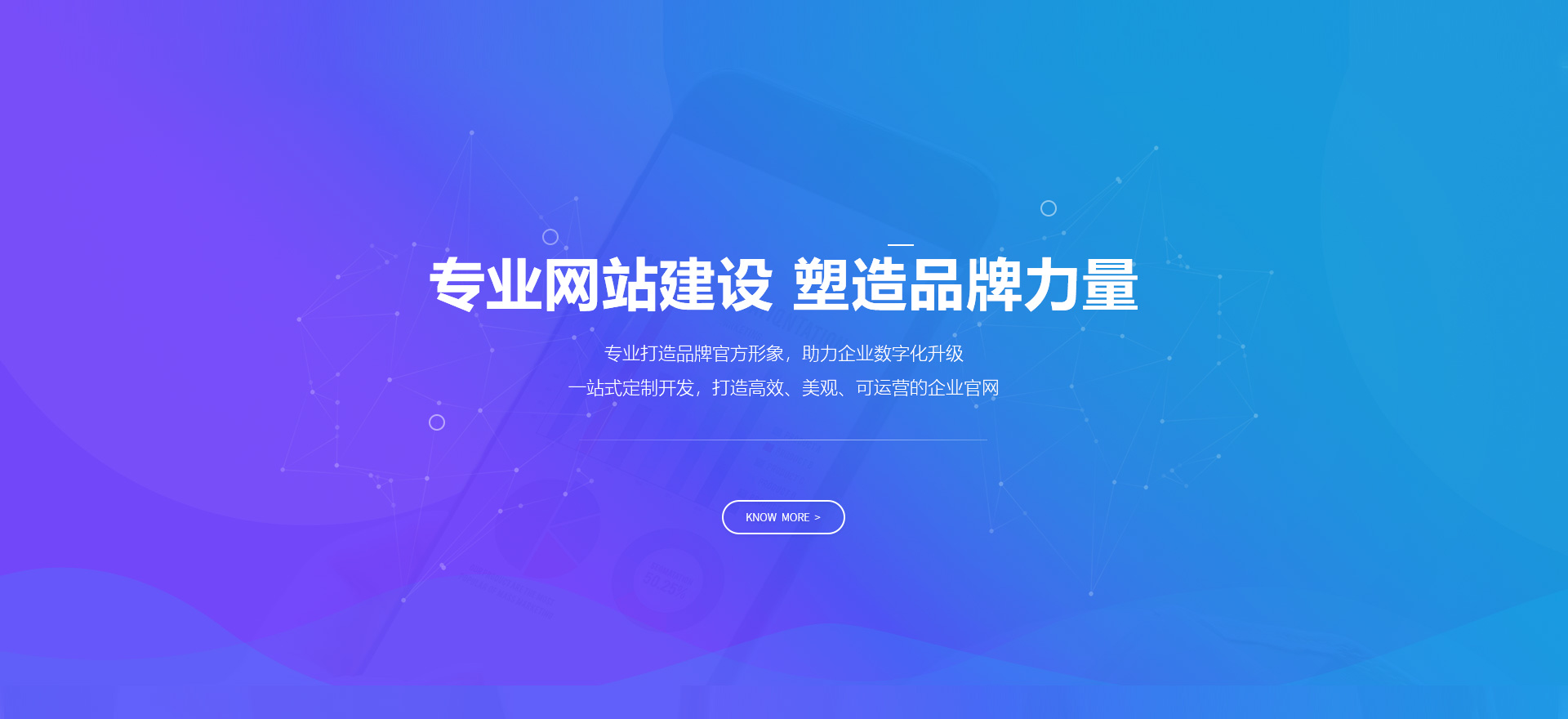 清河建站-专业网站建设 塑造品牌力量