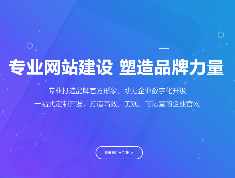 清河建站-专业网站建设 塑造品牌力量